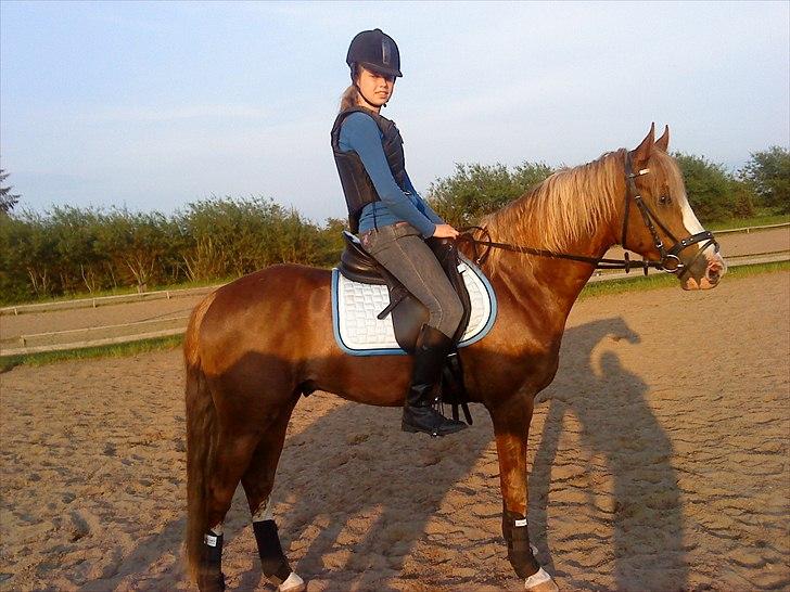 DSP Mo Cuishle  billede 4