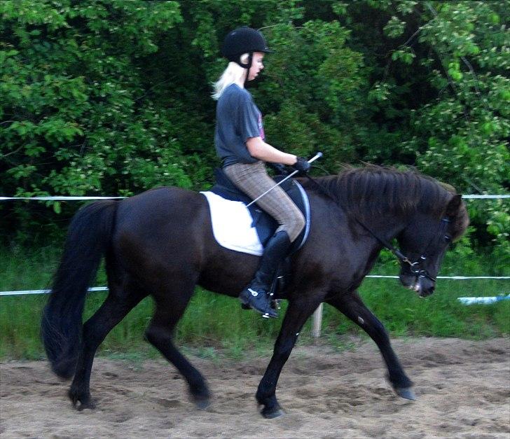 Islænder ~Orka fra Hofi l ~ DRESSURSTJERNEN!<3 - 1. Velkommen til Orka's profil :D.
Kig dig omkring, og smid en beddømelse ;-)

FOTO: Min mor.  billede 1