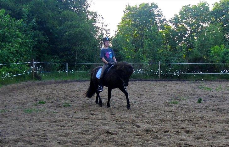 Islænder ~Orka fra Hofi l ~ DRESSURSTJERNEN!<3 - 4. 06/06/11 - Dressurprinsessen <3 billede 4