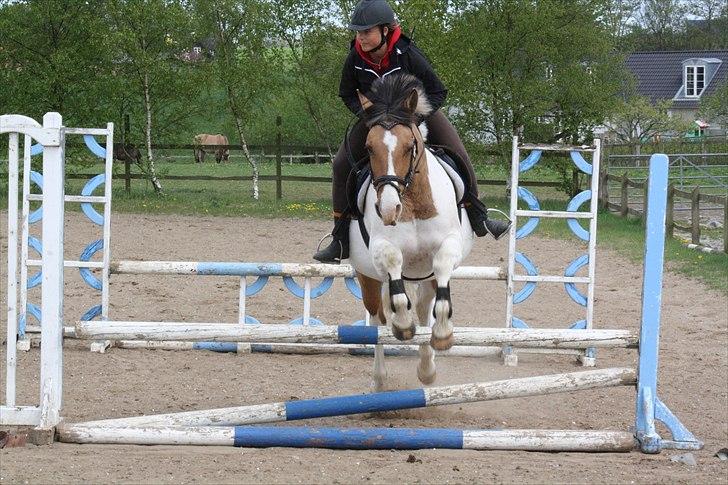 Anden særlig race *Tea's Baby Dolly* - Signe og Dolly <3 billede 16