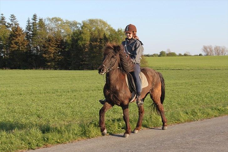 Islænder Spa' billede 1