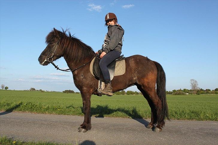 Islænder Spa' billede 4