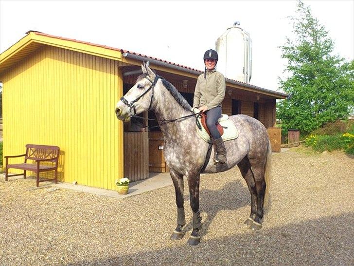 Anden særlig race <3 Domingo <3 - Sommer 2011 - 5 år <3 billede 11