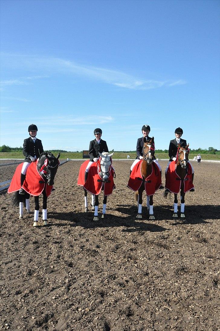 Welsh Partbred (Sec F) Coelenhage's Reza RSDH - Fra Venstre: Nicole Hoffmann - Starndager's Bandit, Pernille Pilborg - Målund's Mini-Maj, Josefine Hoffmann - Natasja, Jeanette Haugård - Colenhage's Reza
SYDJYSKE MESTRE FOR HOLD 2011 billede 5