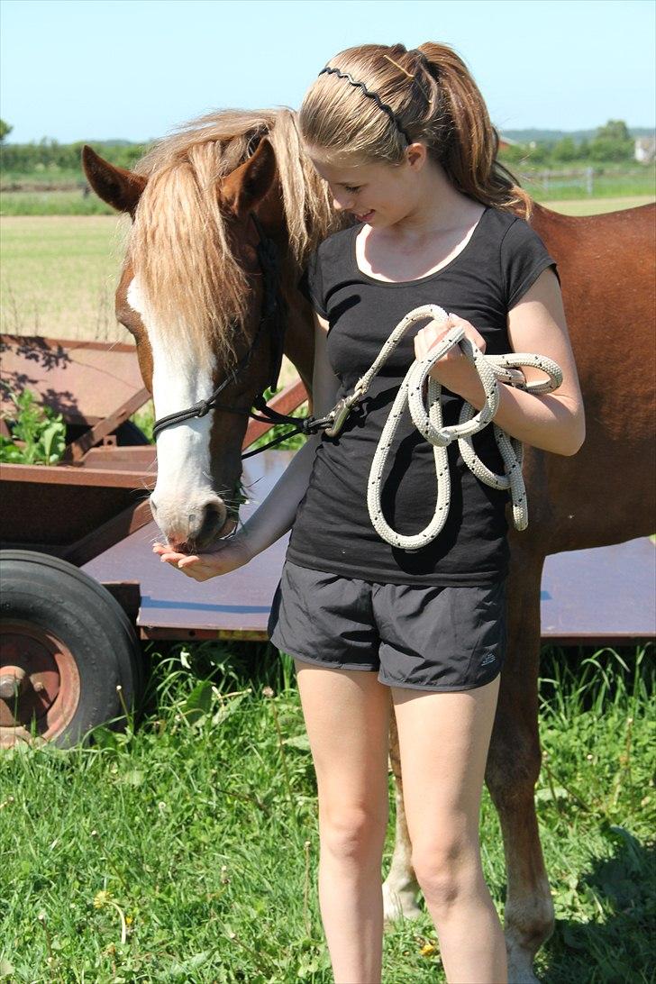 DSP Mo Cuishle  - Hygge (: billede 6