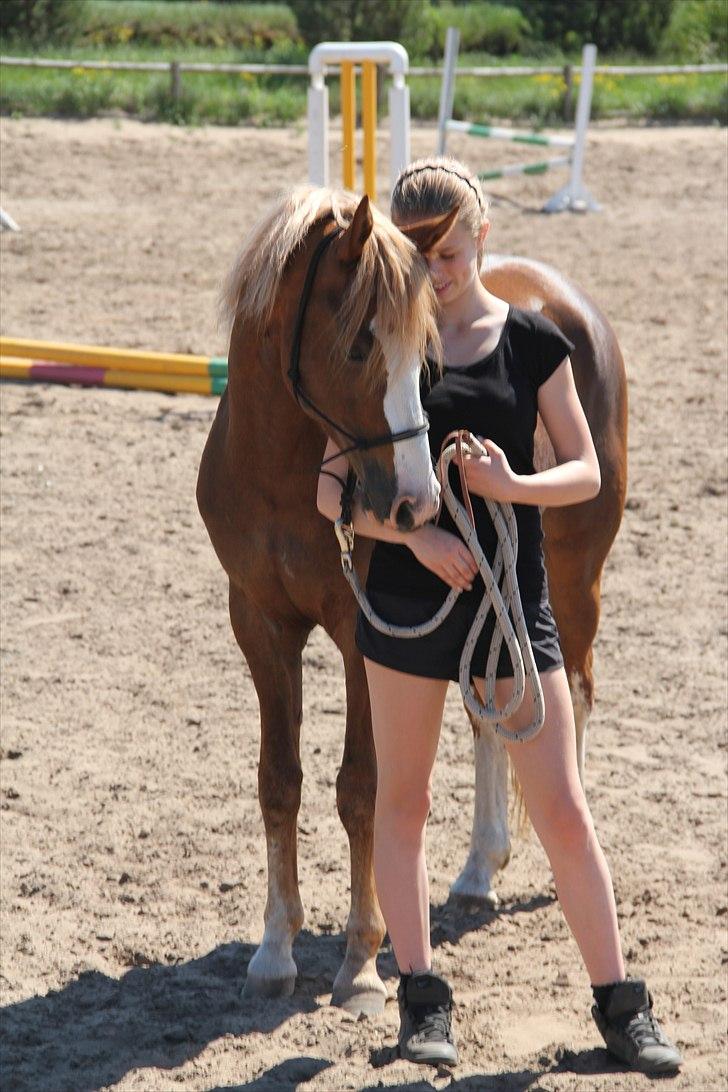 DSP Mo Cuishle  - Jeg elsker dig smukke Mulle<33 billede 7