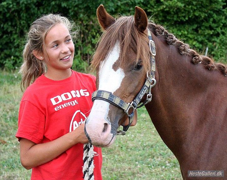 Welsh Pony (sec B) Korreborgs Verdi *SAVNET* <3 - (NYT) Når vi var sammen, lukkede jeg af for omverdenen, og nød hvert sekund! - Sov godt, og drøm sødt min engel <3 billede 20