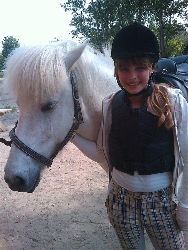 Islænder Elfa fra Katulabo - Velkommen til Elfas profil :-) billede 1