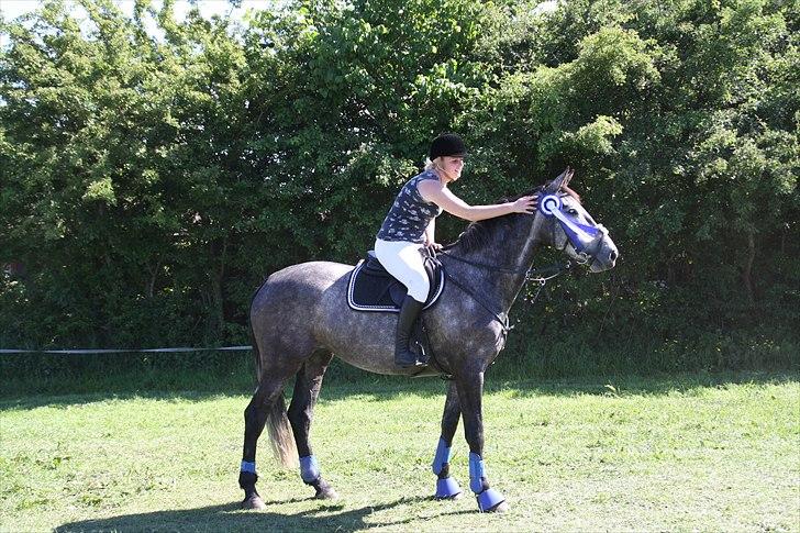 Holstener Castinè - 2. plads i ld i bylderup-bov :-) billede 6