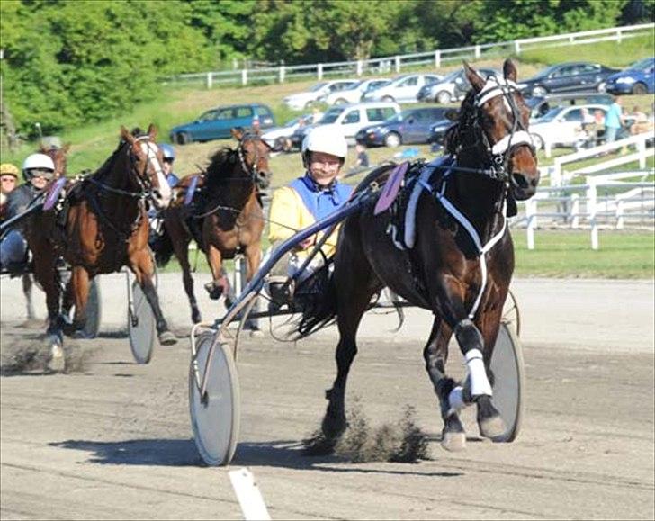 Traver Lukas Bit - Lukas vinder 4. juni 2011 billede 1