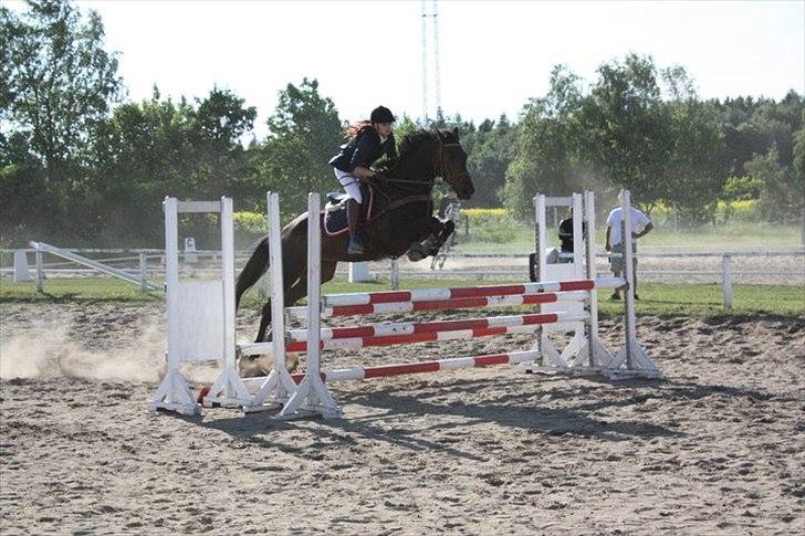 Anden særlig race Rambo - stævne Ørsted d. 5 juni 2011 <3 billede 9