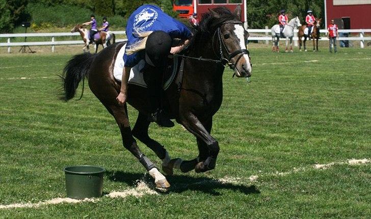 DSP Fredbo´s Image - Nissecup 2011 - Upcomming <3 billede 21