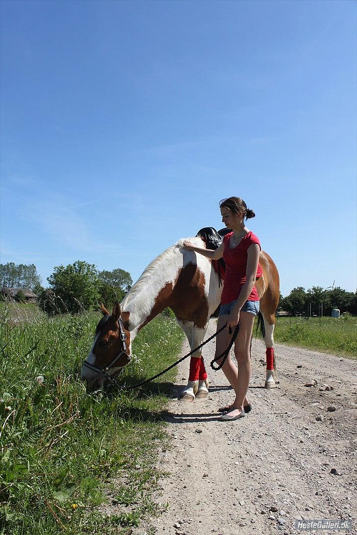 Anden særlig race Camino *CMNS* -  Vi stod sammen gennem denne periode, det har gjort vores bånd stærkere end nogensinde og du er allerede meget i forbedring!
Det går langsomt men fremad! :* billede 4