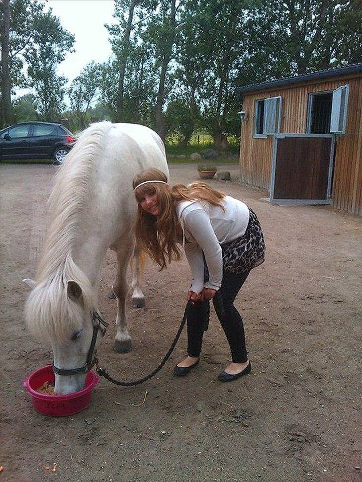 Islænder Elfa fra Katulabo - Elfas fødselsdag!  billede 2