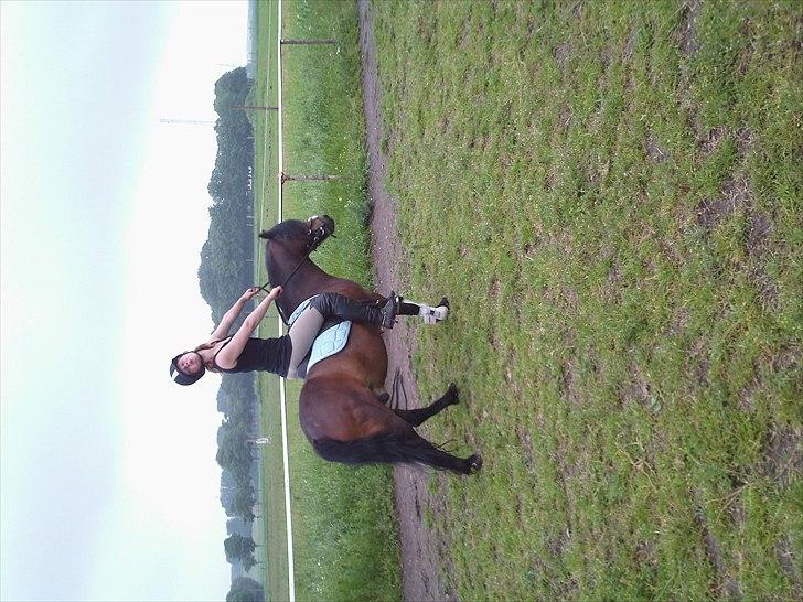 Dartmoor filur ronda(part) billede 3