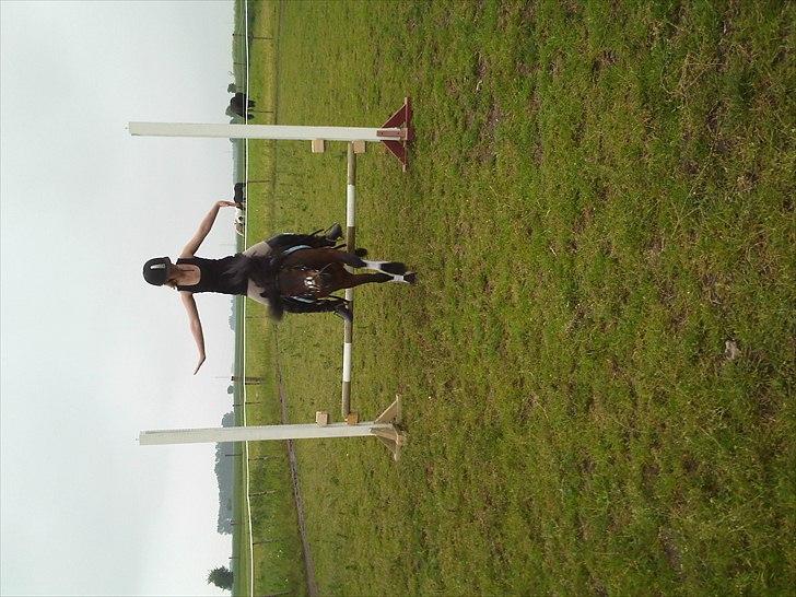 Dartmoor filur ronda(part) billede 5