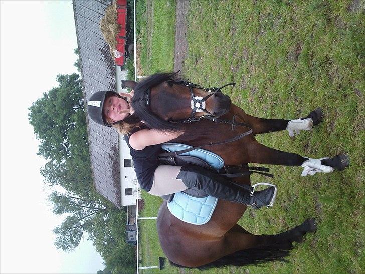 Dartmoor filur ronda(part) billede 7