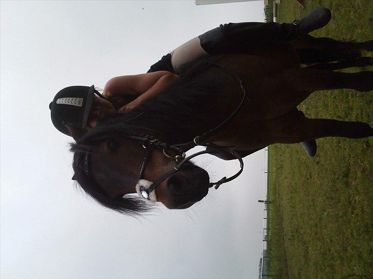 Dartmoor filur ronda(part) billede 8