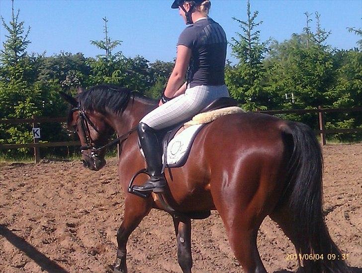 Anden særlig race Skovbjerggård´s Cavan - første gang udendørs(:  billede 2