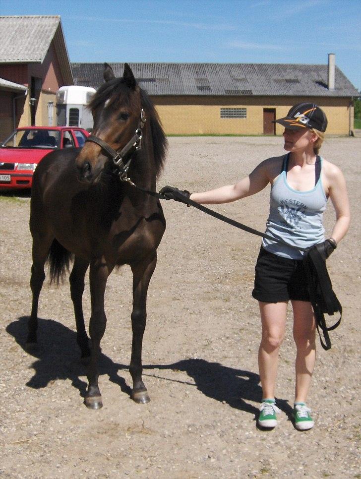 Anden særlig race Wojska - JUNI 2011 billede 12