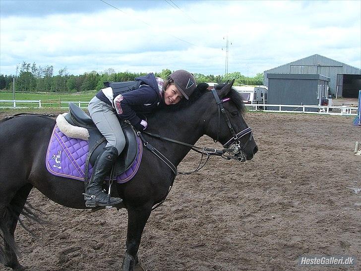 Anden særlig race Toxic Daisy <3 (SOLGT) - Forstegang jeg skulle ride på hende spring jeg og det her bilde er fra der jeg var færdi med at springe på hende.  :P   billede 3
