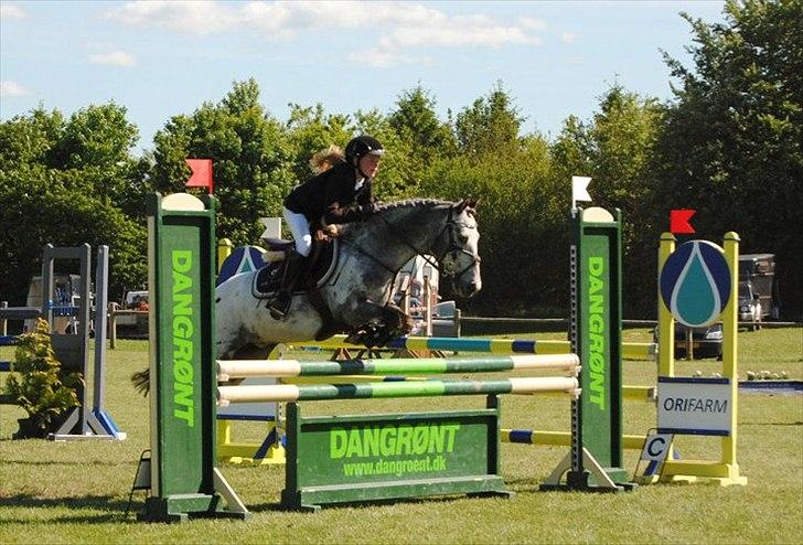 Appaloosa MR. APPELBEY **B-pony** (Søsters pony) billede 8