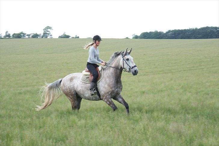 Anden særlig race <3 Domingo <3 billede 9