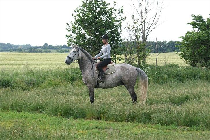 Anden særlig race <3 Domingo <3 billede 10