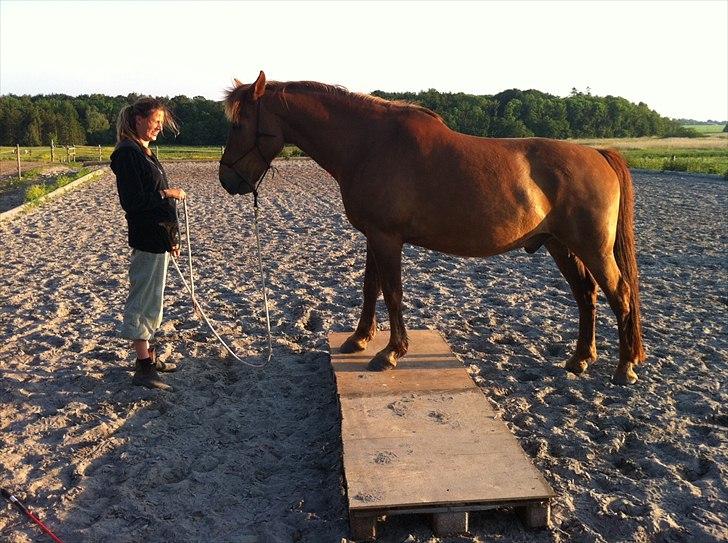 Anden særlig race Mr. Balisto - Yeahh føste gang på pallen:-) billede 14
