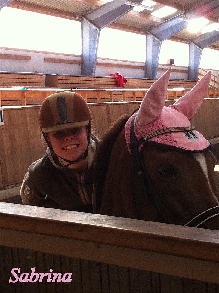 Anden særlig race Sabrina.. PASSER! R.I.P<3 - Lidt ridning!<3 billede 10