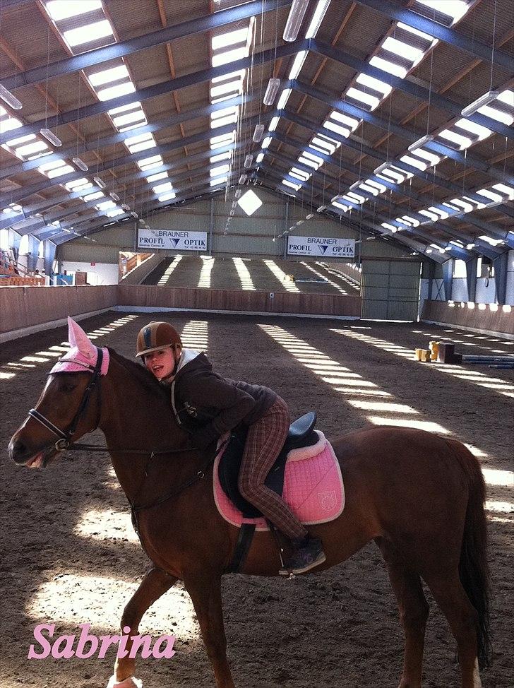Anden særlig race Sabrina.. PASSER! R.I.P<3 - "stå stille :P<3" billede 11