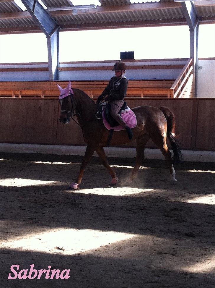 Anden særlig race Sabrina.. PASSER! R.I.P<3 - Velkommen til Sabrinas profil ! billede 1