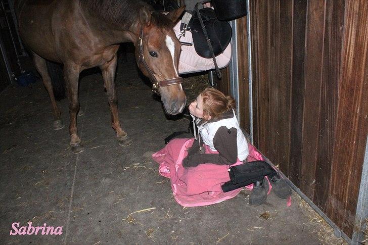 Anden særlig race Sabrina.. PASSER! R.I.P<3 - Møs !
 billede 12