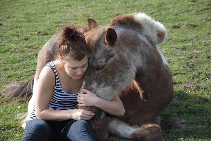 Anden særlig race - Warzakki :')  - 20 | Dagen før han blev aflivet :'( . På dette tidspunkt vidste jeg det ikke.. Jeg savner dig din smukke pony! Taget d. 10.04.11 - af Trine. billede 20