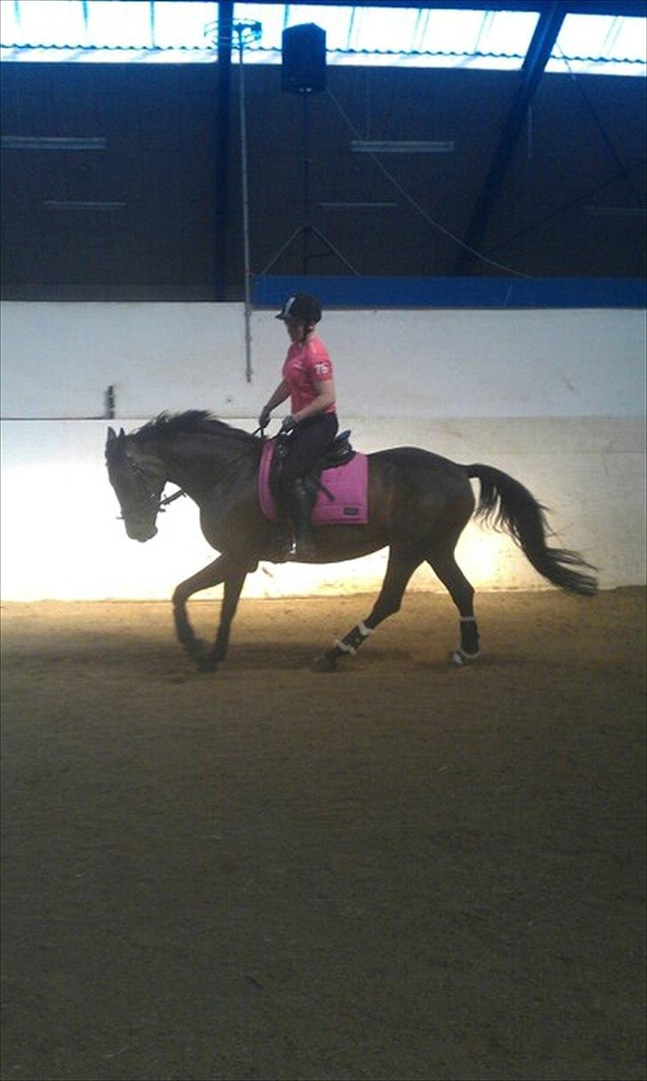 Anden særlig race Chiquita *Bananen* billede 11