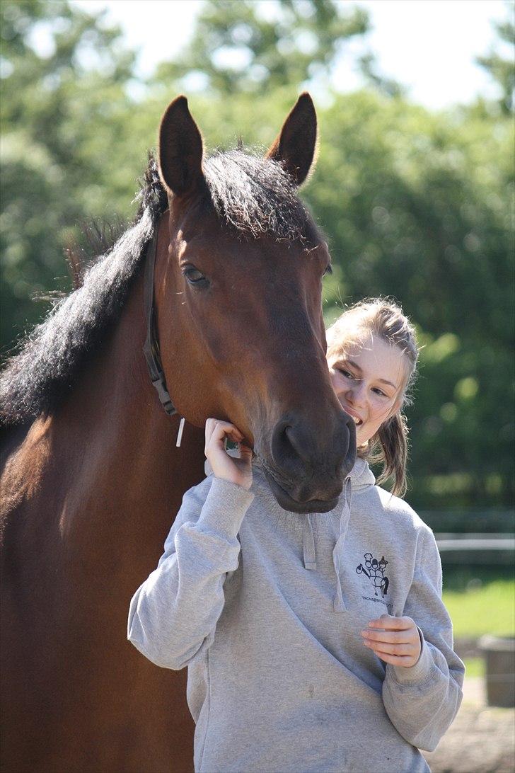 Holstener Carry Me On - Foto: Hanne Pedersen billede 3