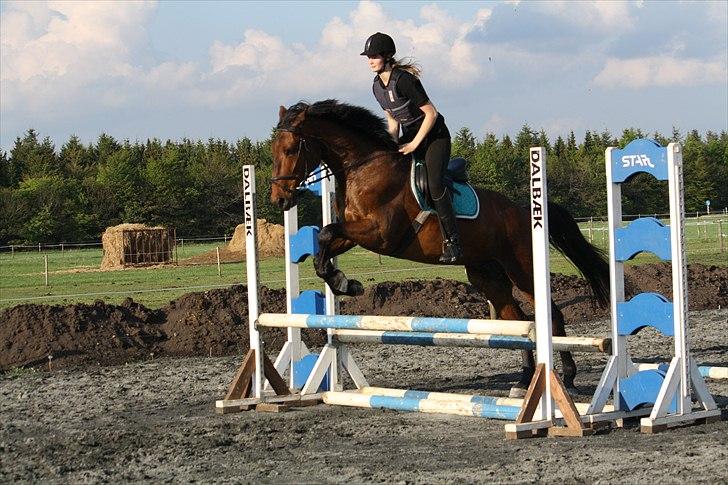 Holstener Carry Me On - Foto: Hanne Pedersen billede 7