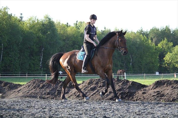 Holstener Carry Me On - Foto: Hanne Pedersen billede 9