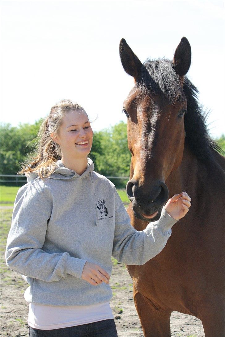 Holstener Carry Me On - Foto: Hanne Pedersen billede 13