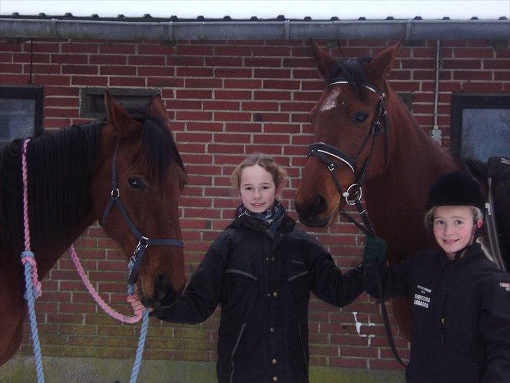 Traver Lemek Nordal - Hjem fra ridetur med Houston og Lemek:-)<33
R.i.p Houston!:I billede 19