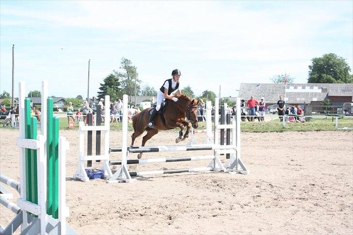 DSP Moonlight- Solgt - Springstævne i ørsted billede 4