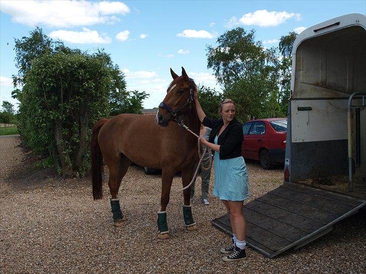 Anden særlig race Athene - ankomst :)  billede 4