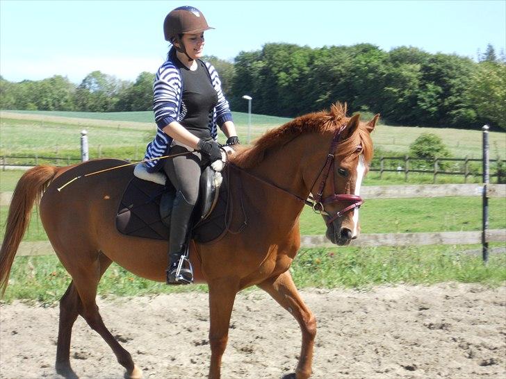 Anden særlig race Miss Mabel I ILU I - Dagen efter at jeg fik Mabel tilbage igen. (':
You're the smile on my lips. <3<3 billede 16