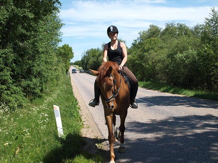 Anden særlig race Athene - Første tur ud i det blå (: billede 7