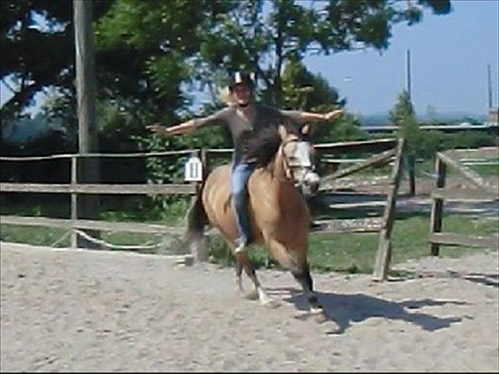 Welsh Partbred (Sec F) tivall <3 *gl. part* - weee gallop uden hænder :D foto:mira billede 13