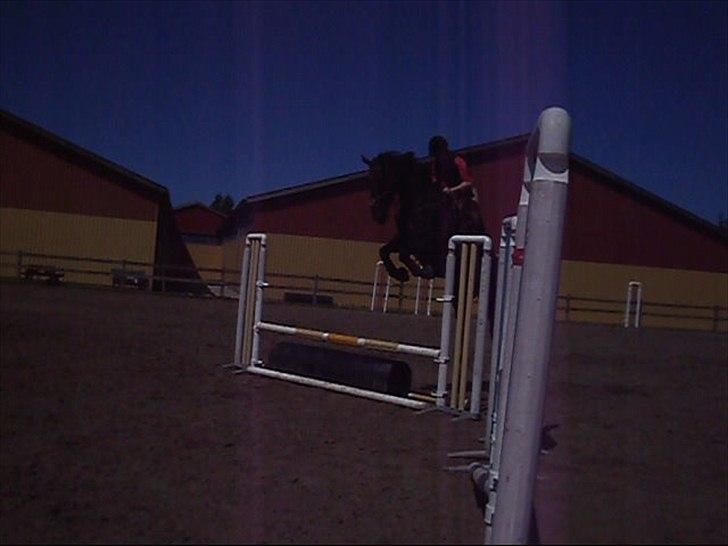 Anden særlig race Pepita - Pipxie ville ikke i nærheden af det sorte rør :-D  billede 10