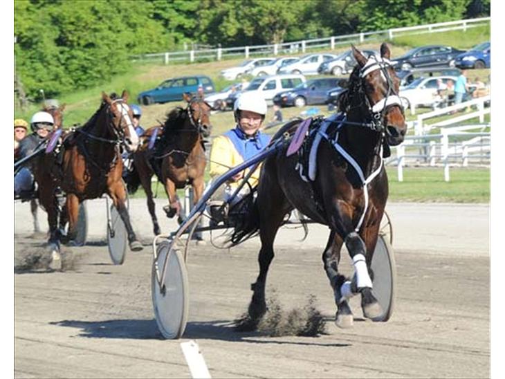 {{currentPhoto.altText}} billede {{currentPhoto.number}}