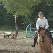 Anden særlig race Chess