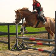 DSP Leonhards Faído