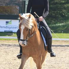 New Forest Holmens Facos <3 Solgt